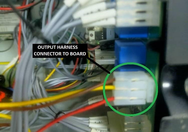 BLUE WHALE HARNESS.jpg